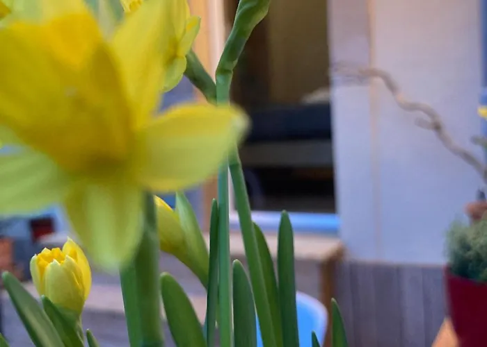 Apartman Cozy Drezda