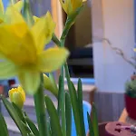 Apartamento Cozy Dresden