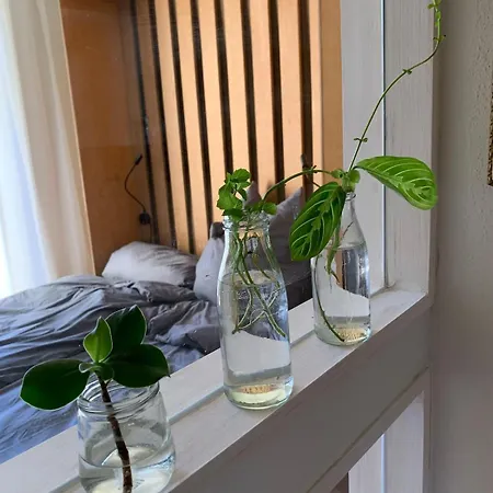 Cozy Appartamento Dresda