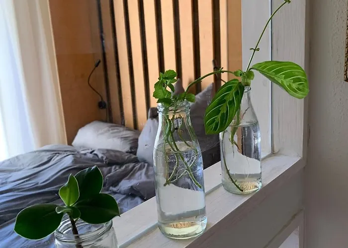 Cozy Appartamento Dresda